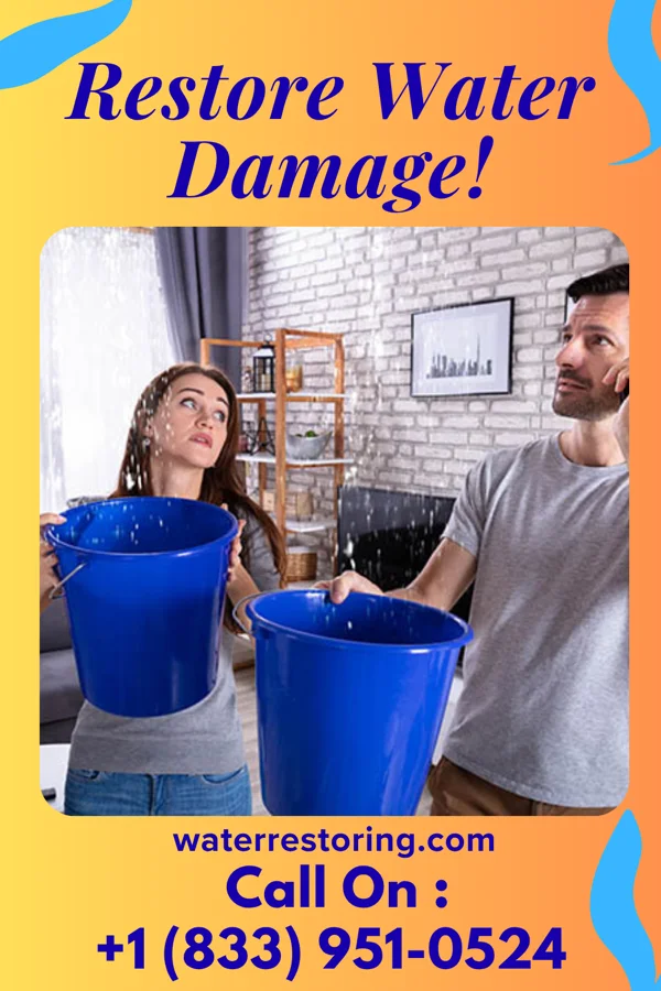 water restoration Citywide Cleanup & Associates Roscoe