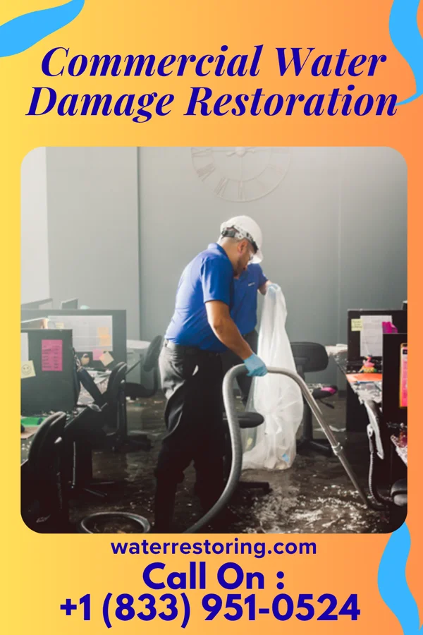 Commercial Water Damage Restoration in Roscoe, MN