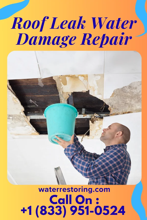 Roof Leak Water Damage Repair in Roscoe, MN
